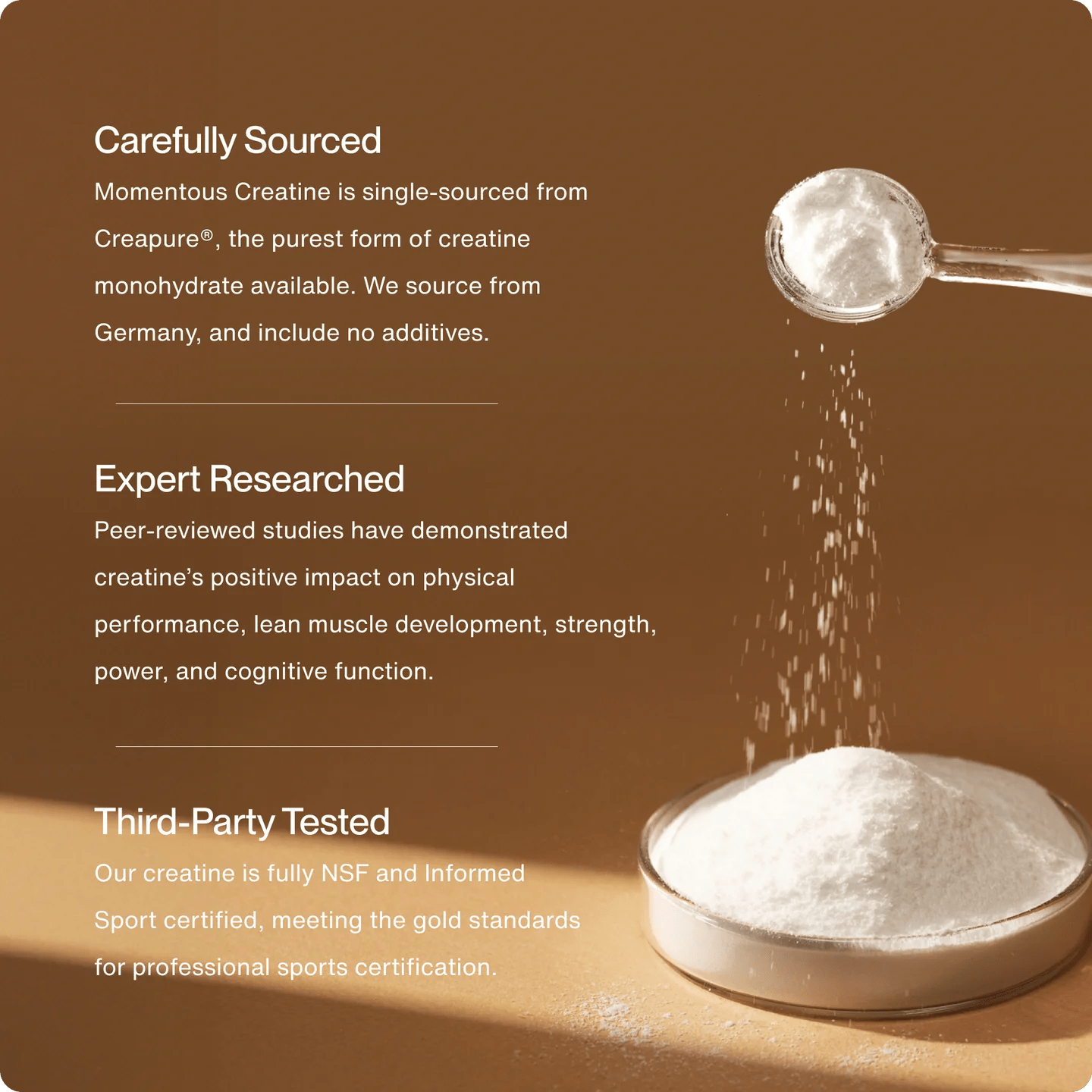 Creatine Poeder - 450 gram - Newtraceuticals