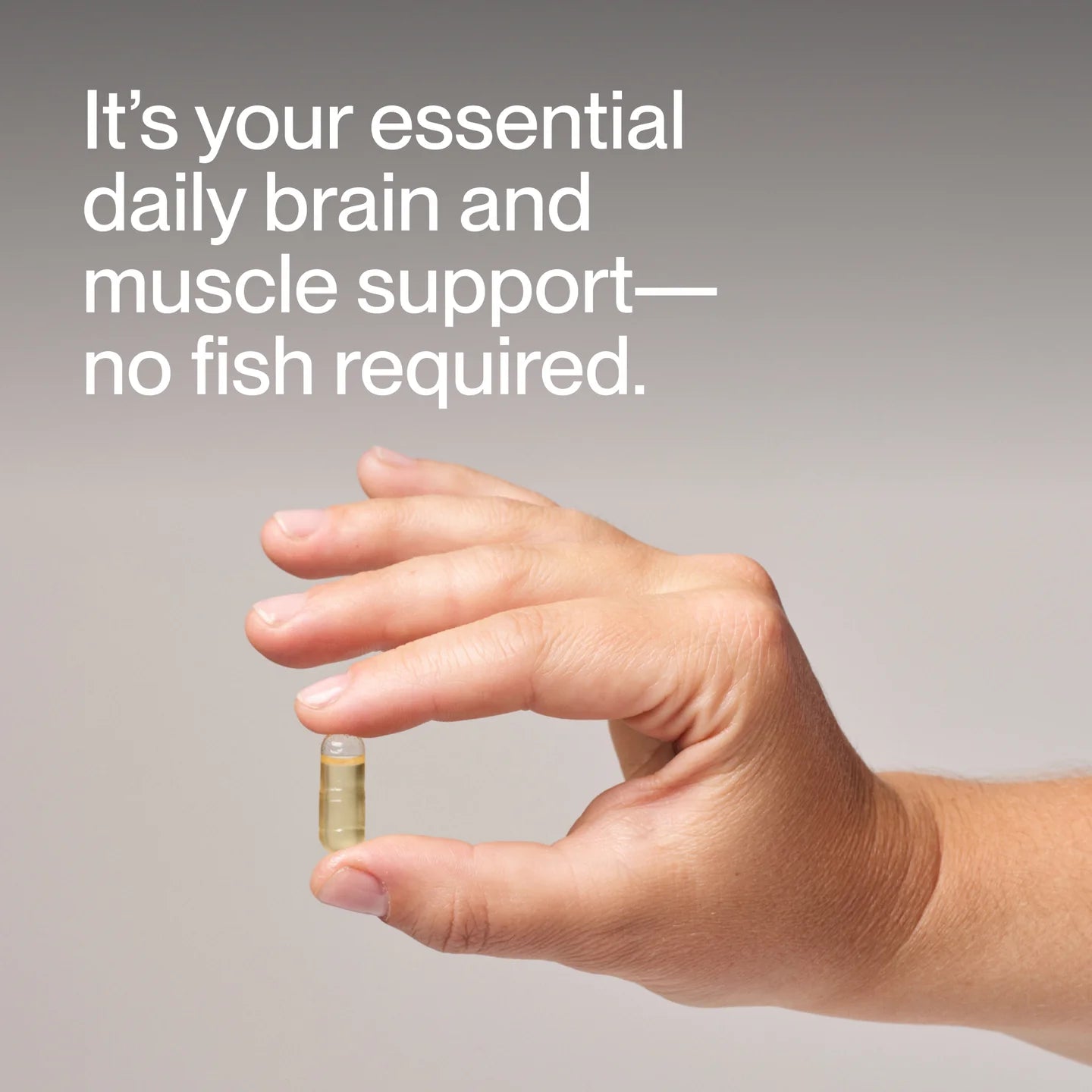 Vegan Omega - 3 - 60 capsules - Newtraceuticals
